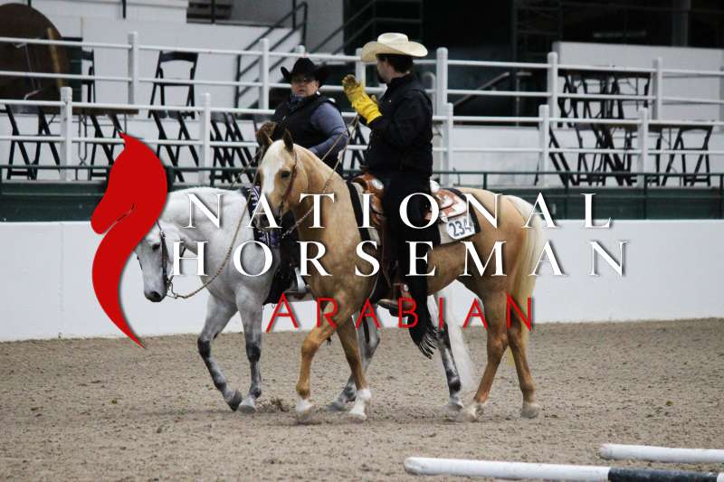 Houston All Arabian Horse Show 21' National Horseman Arabian